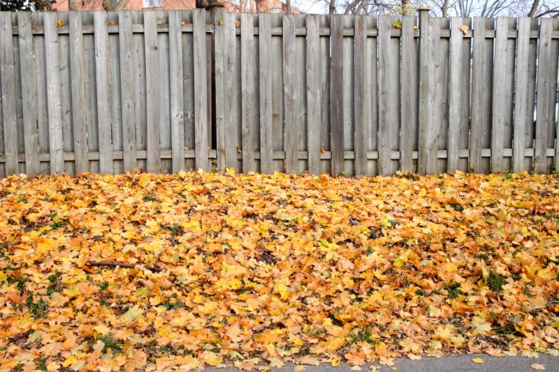Fall Fence Maintenance